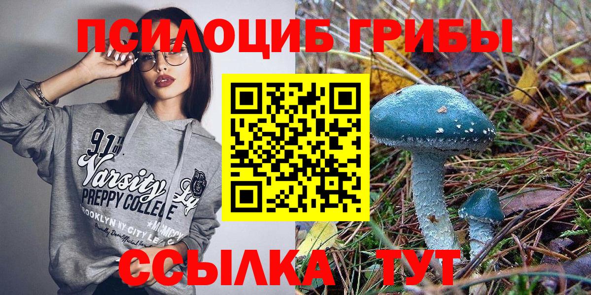 где можно купить наркотик  Вход с VPN  Псилоцибиновые грибы GOLDEN TEACHER  Владимир  Псилоцибиновые грибы Cubensis 