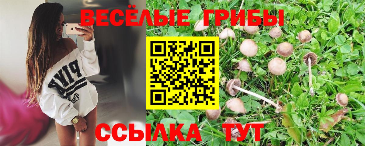 Галлюциногенные грибы GOLDEN TEACHER Владимир